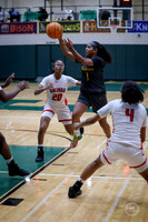 20251206 Homewood-Flossmore-12