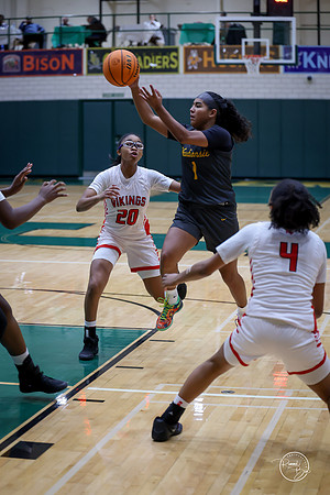 20251206 Homewood-Flossmore-12