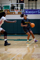 20251206 Homewood-Flossmore-14