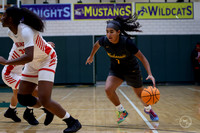 20251206 Homewood-Flossmore-15