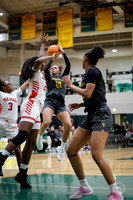 20251206 Homewood-Flossmore-16