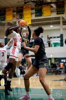 20251206 Homewood-Flossmore-17