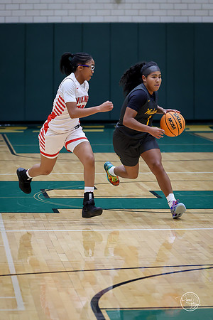 20251206 Homewood-Flossmore-19