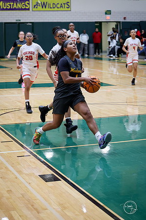 20251206 Homewood-Flossmore-20