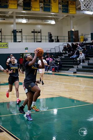 20251206 Homewood-Flossmore-23