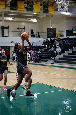 20251206 Homewood-Flossmore-24