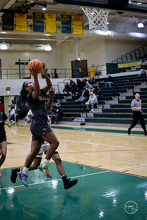 20251206 Homewood-Flossmore-25