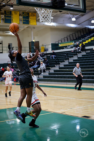 20251206 Homewood-Flossmore-27