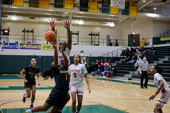 20251206 Homewood-Flossmore-31