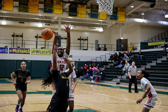 20251206 Homewood-Flossmore-32