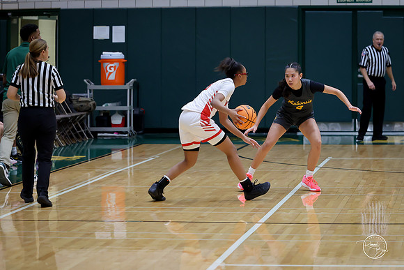 20251206 Homewood-Flossmore-33