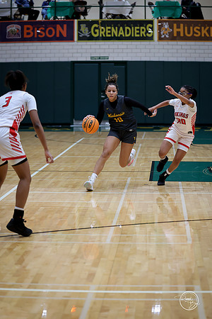 20251206 Homewood-Flossmore-34