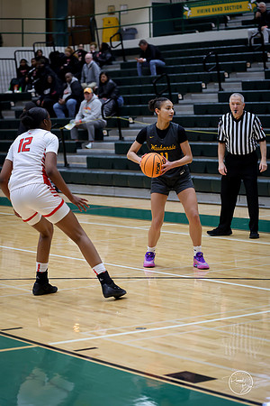 20251206 Homewood-Flossmore-35