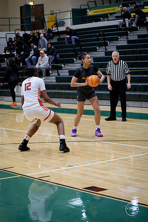 20251206 Homewood-Flossmore-36
