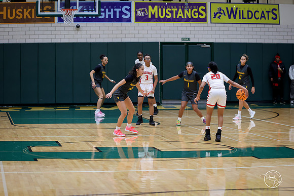 20251206 Homewood-Flossmore-37