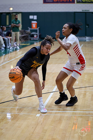 20251206 Homewood-Flossmore-38