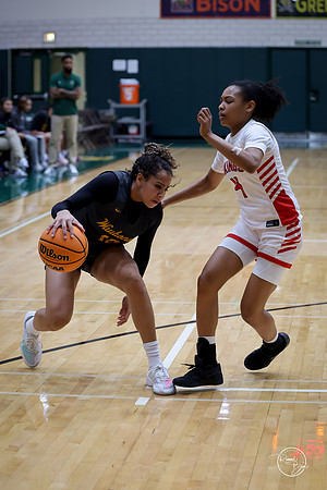 20251206 Homewood-Flossmore-39