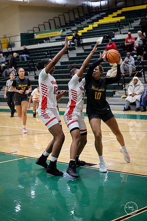 20251206 Homewood-Flossmore-42