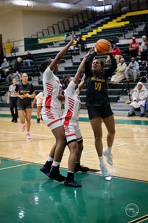 20251206 Homewood-Flossmore-43