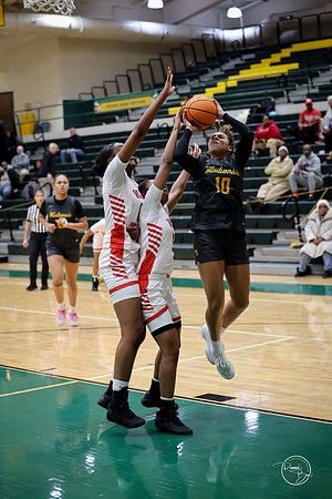 20251206 Homewood-Flossmore-44