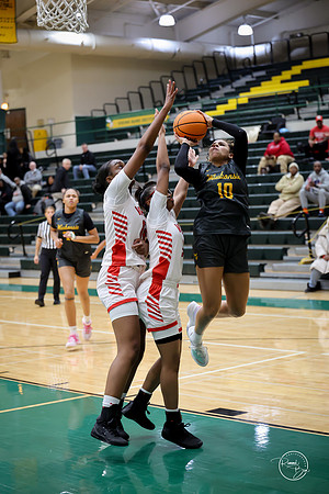 20251206 Homewood-Flossmore-45