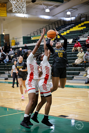 20251206 Homewood-Flossmore-46