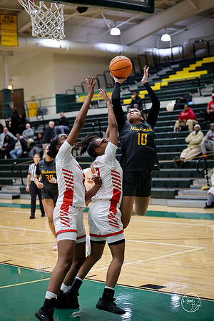 20251206 Homewood-Flossmore-47