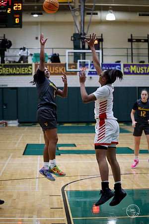 20251206 Homewood-Flossmore-51