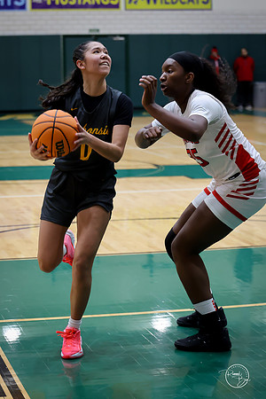 20251206 Homewood-Flossmore-54