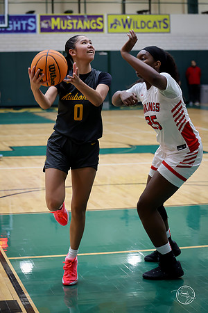 20251206 Homewood-Flossmore-55