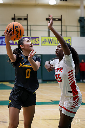 20251206 Homewood-Flossmore-56