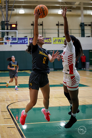 20251206 Homewood-Flossmore-57