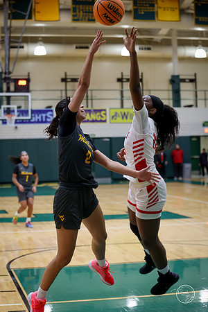 20251206 Homewood-Flossmore-58