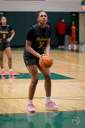 20251206 Homewood-Flossmore-60