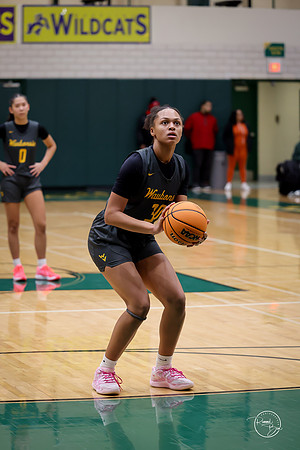 20251206 Homewood-Flossmore-61