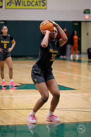 20251206 Homewood-Flossmore-62