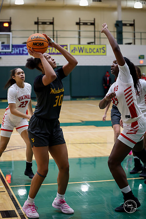 20251206 Homewood-Flossmore-64