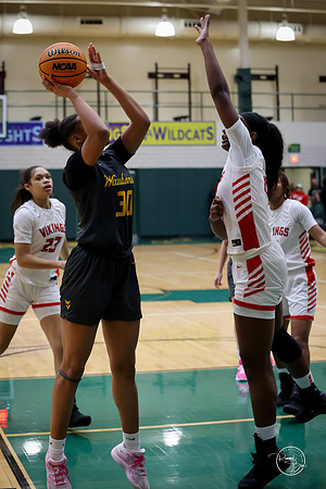 20251206 Homewood-Flossmore-65