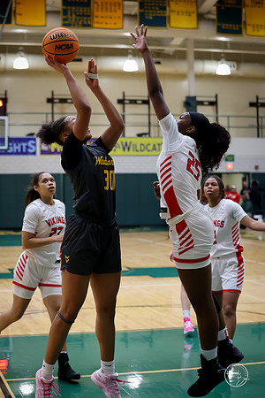 20251206 Homewood-Flossmore-66