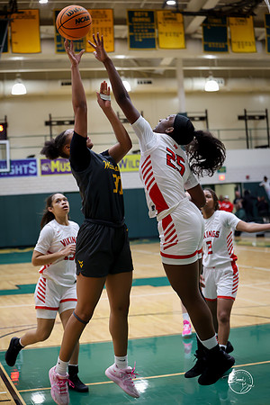 20251206 Homewood-Flossmore-67