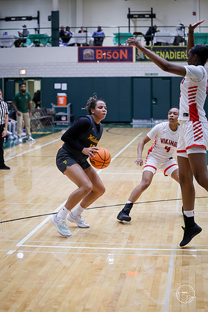 20251206 Homewood-Flossmore-68