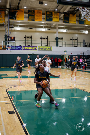 20251206 Homewood-Flossmore-71