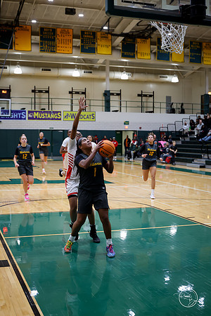 20251206 Homewood-Flossmore-73