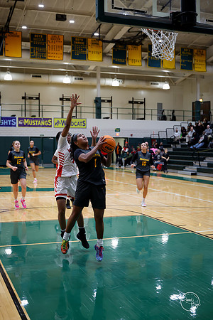 20251206 Homewood-Flossmore-74