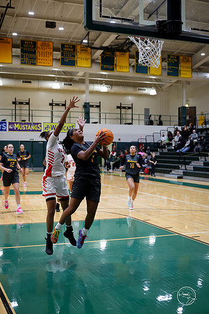 20251206 Homewood-Flossmore-75