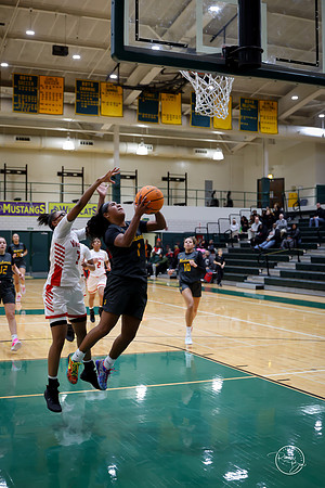 20251206 Homewood-Flossmore-76