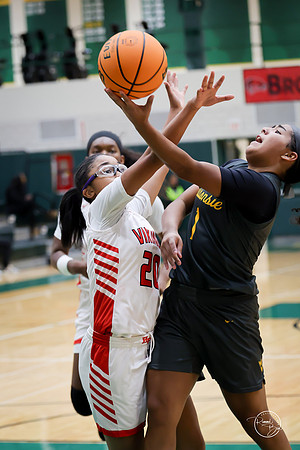 20251206 Homewood-Flossmore-78