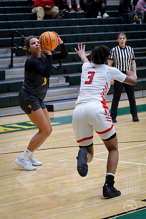 20251206 Homewood-Flossmore-81