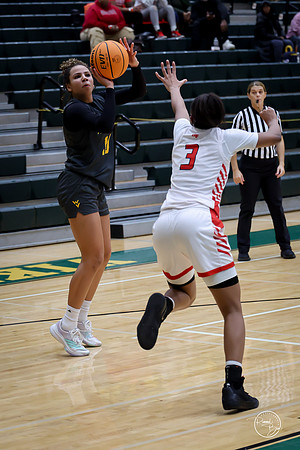 20251206 Homewood-Flossmore-82