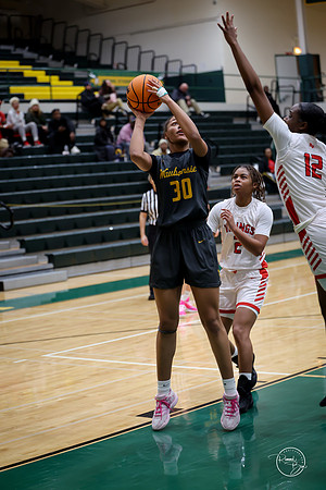 20251206 Homewood-Flossmore-83